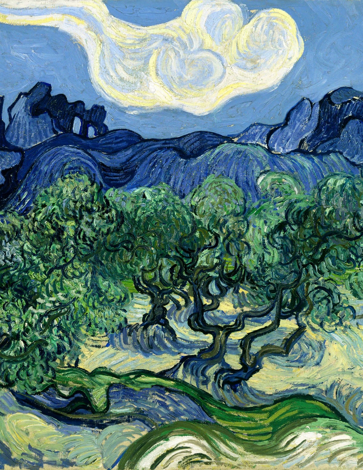 variant-27x35_no-margin