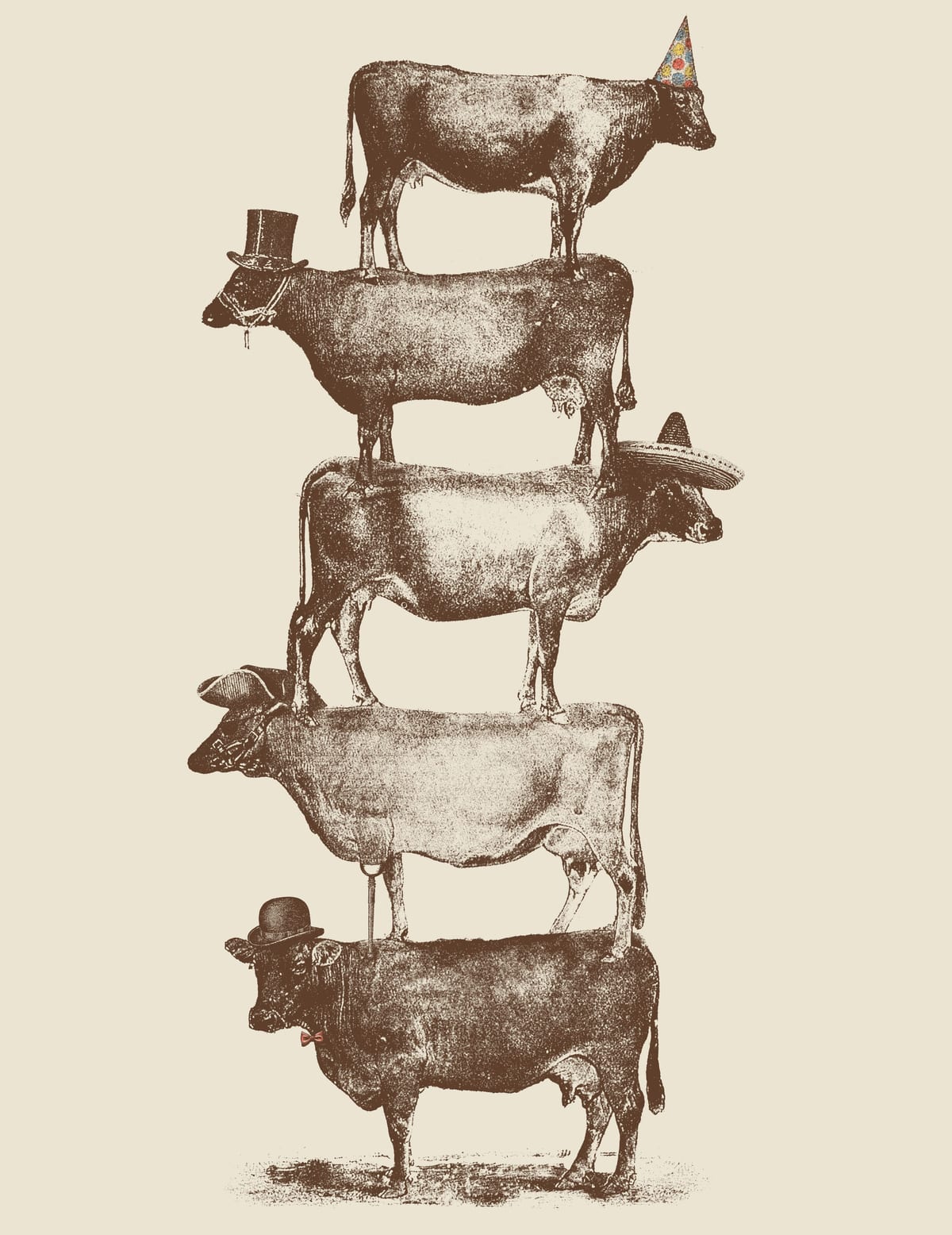 variant-27x35_no-margin