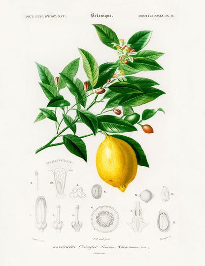 variant-27x35_no-margin