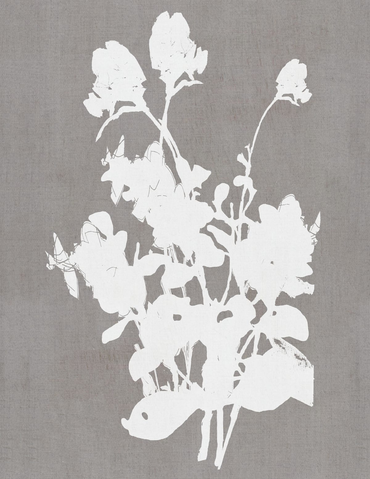 variant-27x35_no-margin