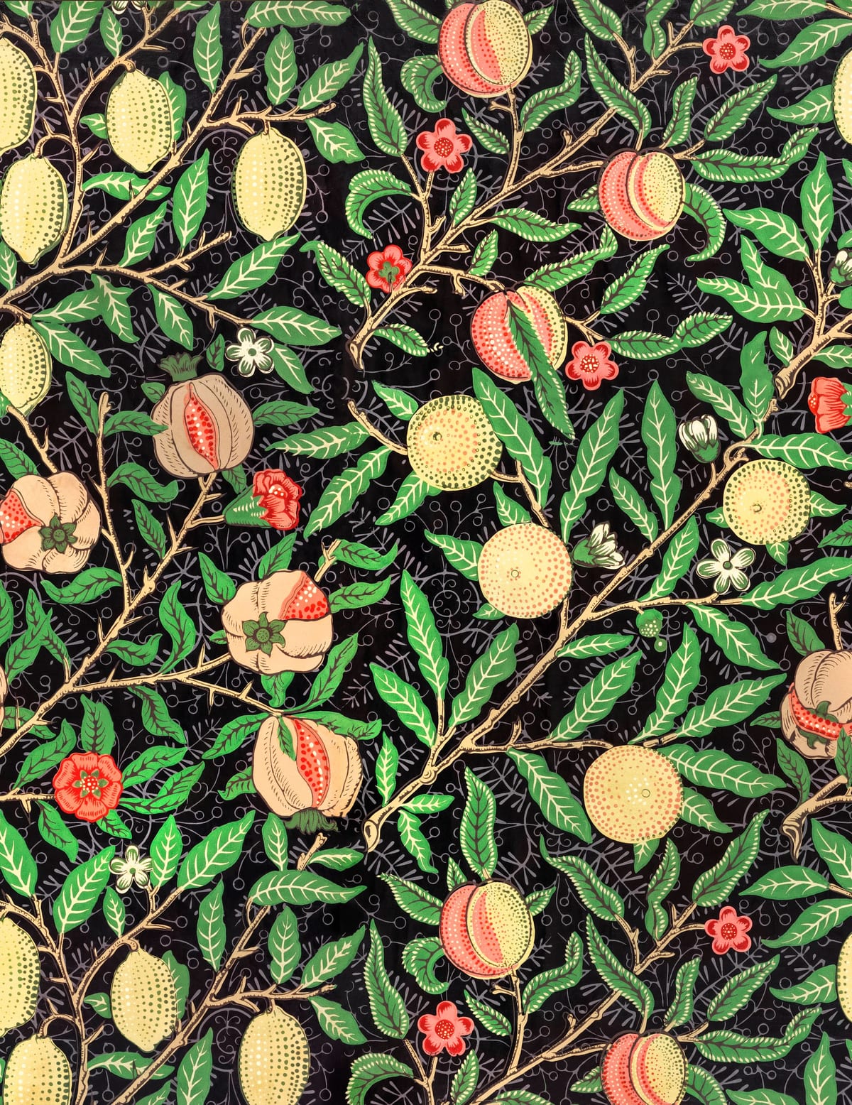 variant-27x35_no-margin