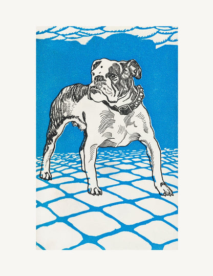 variant-27x35_no-margin