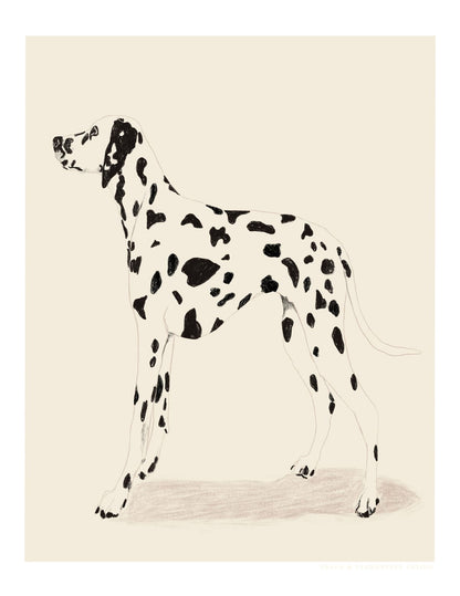 variant-27x35_no-margin