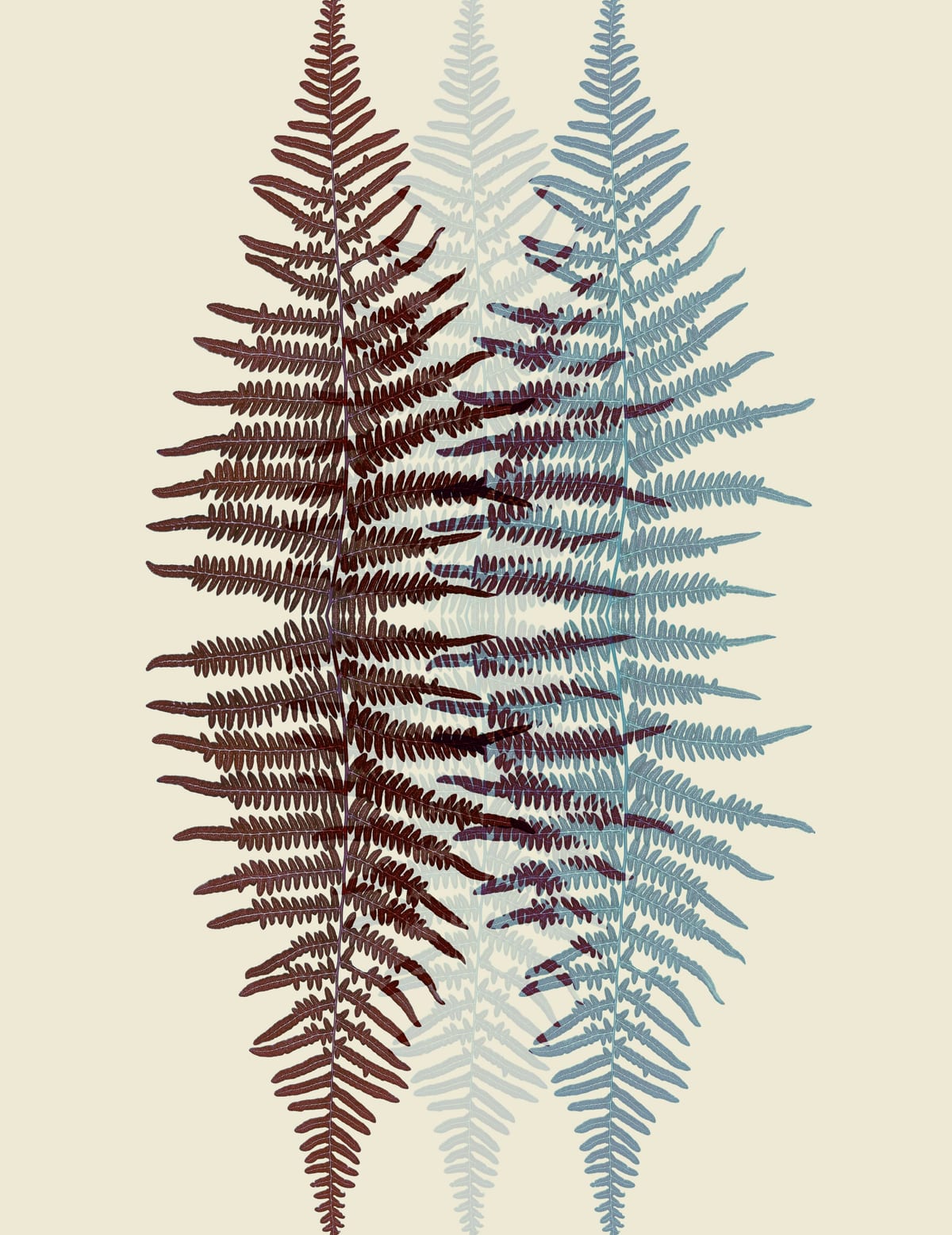variant-27x35_no-margin