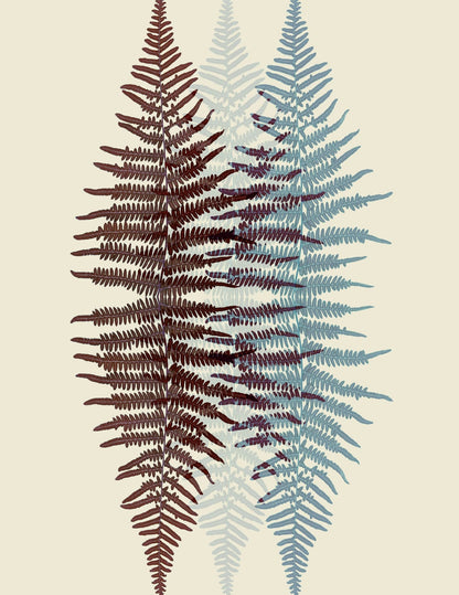 variant-27x35_no-margin