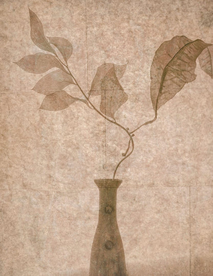 variant-27x35_no-margin