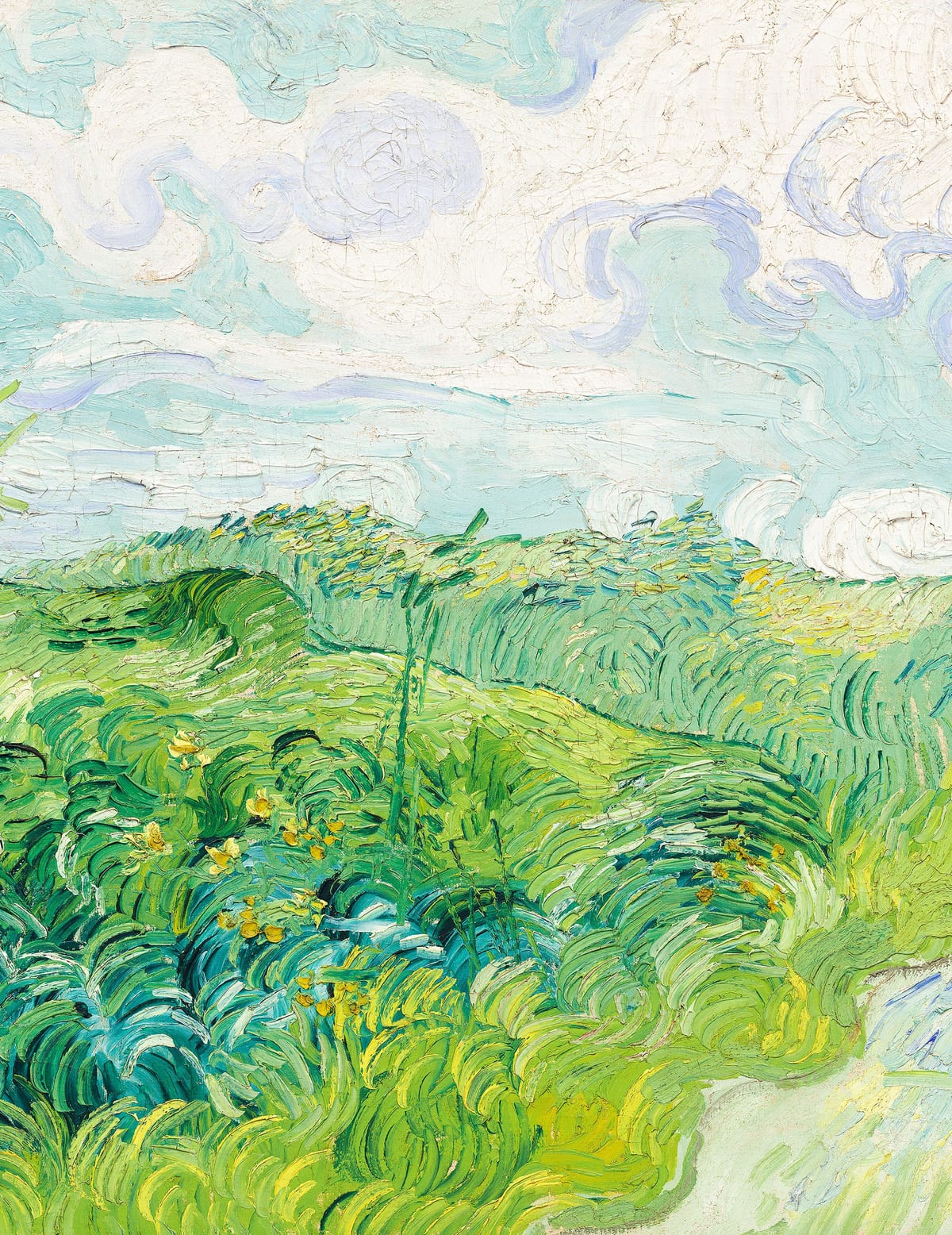 variant-27x35_no-margin