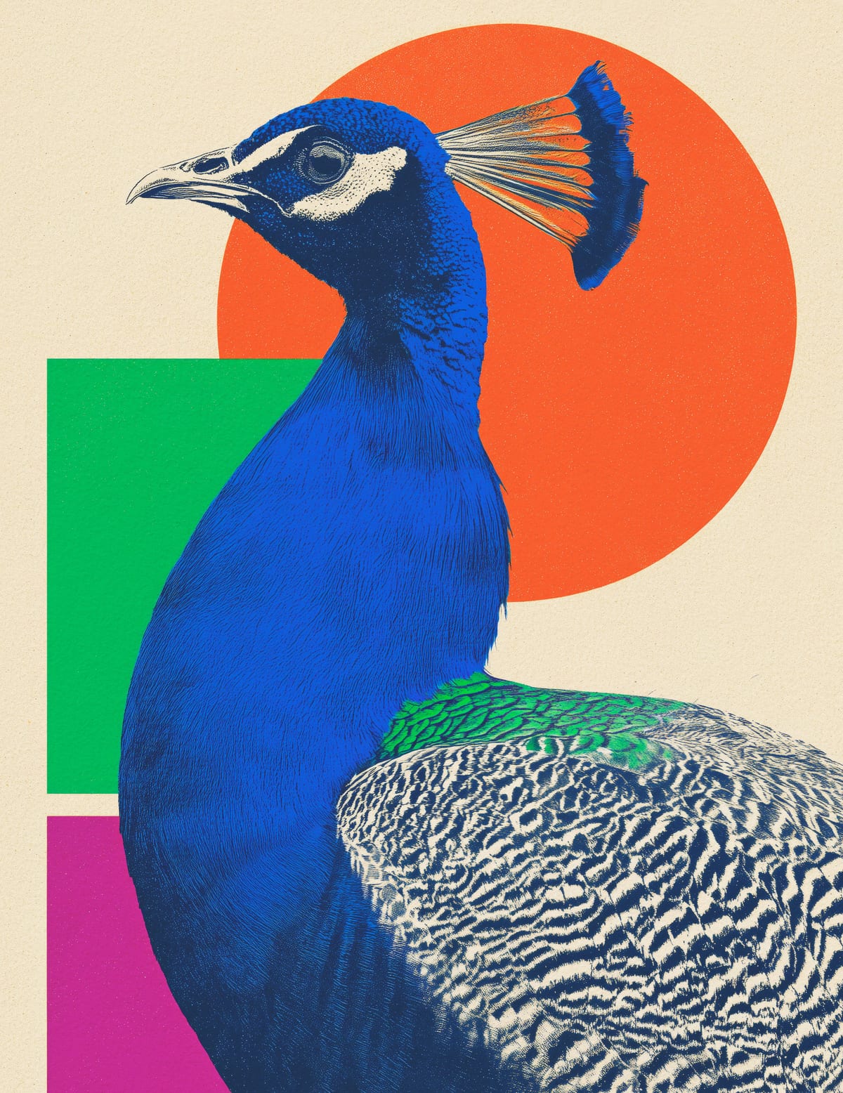 variant-27x35_no-margin