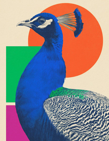 variant-27x35_no-margin
