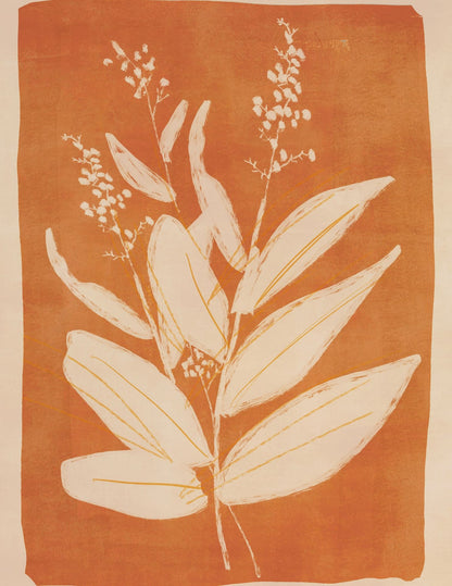 variant-27x35_no-margin