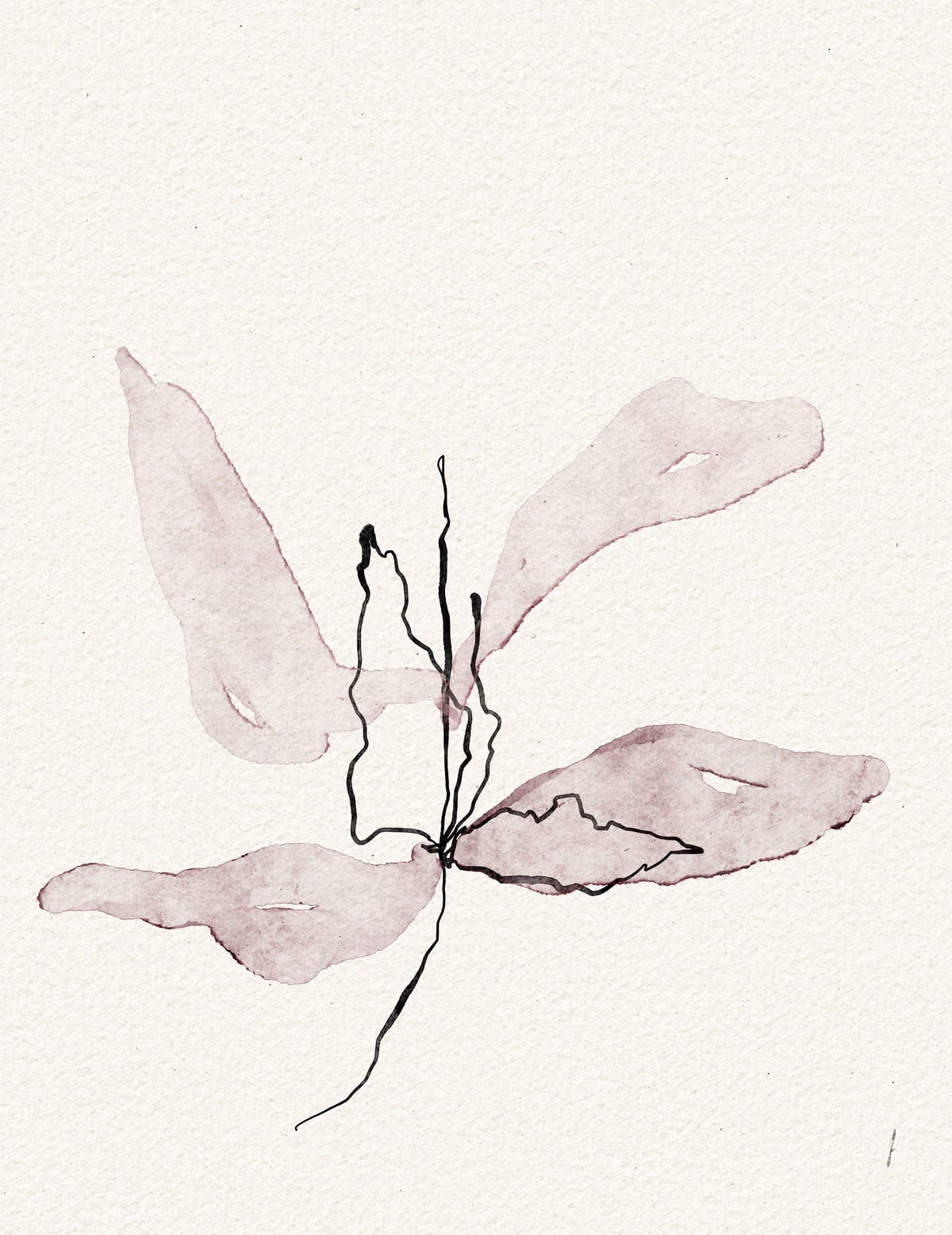 variant-27x35_no-margin