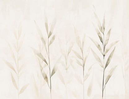 variant-27x35_no-margin