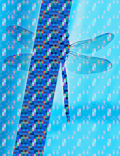 variant-27x35_no-margin