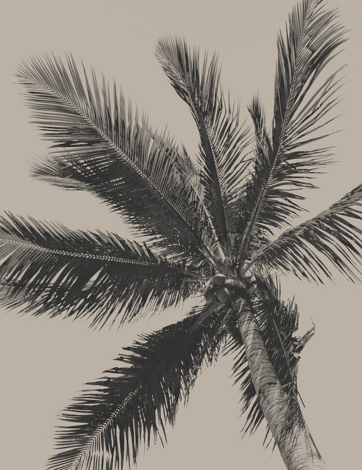 variant-27x35_no-margin