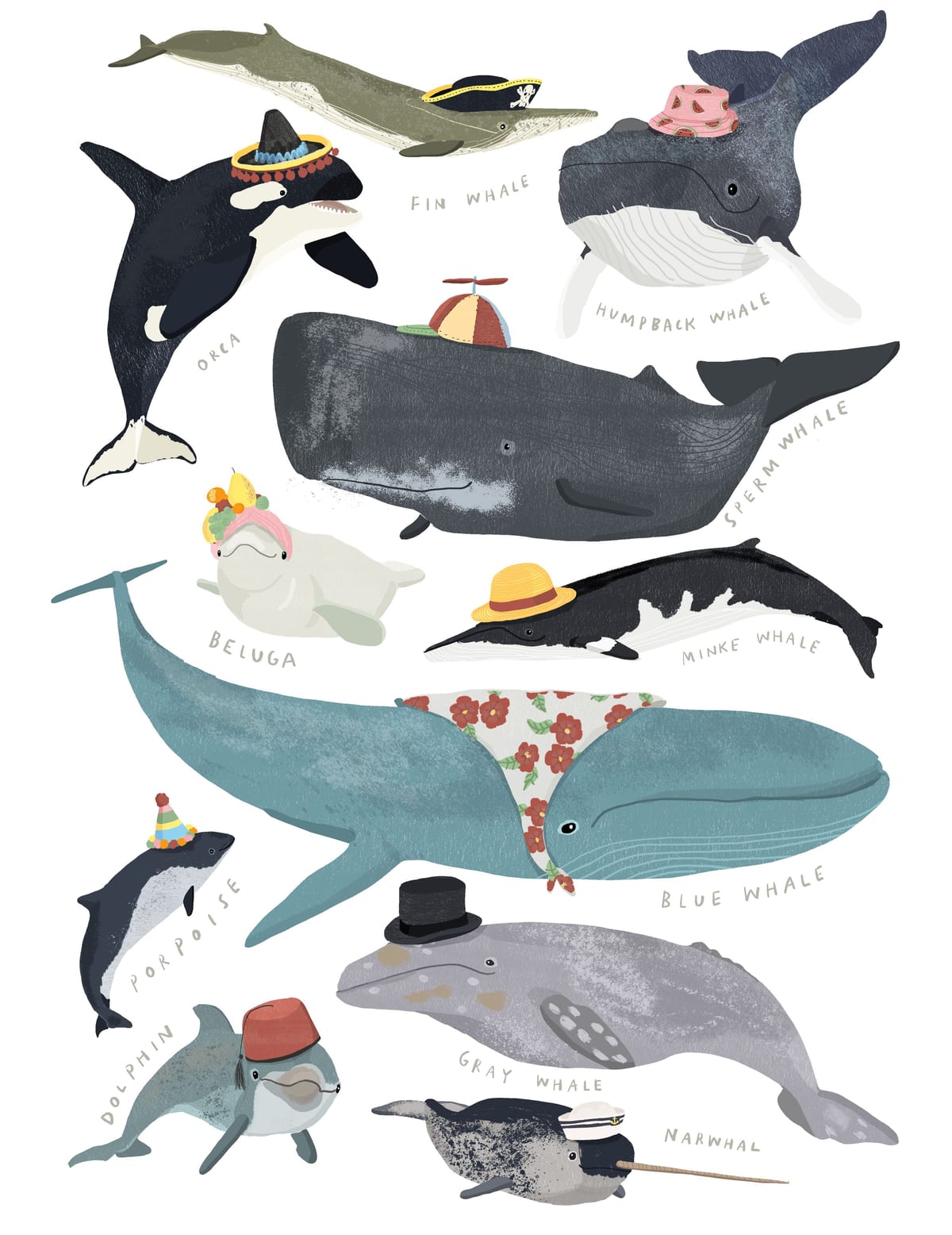 variant-27x35_no-margin