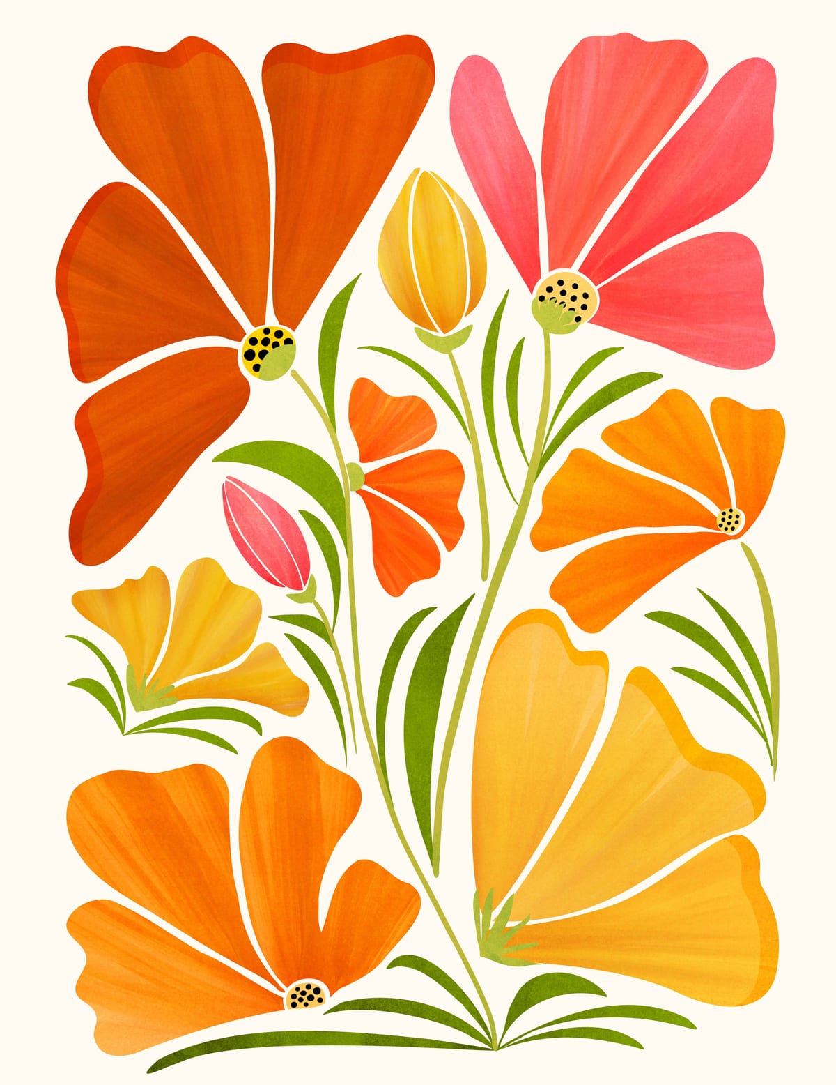 variant-27x35_no-margin