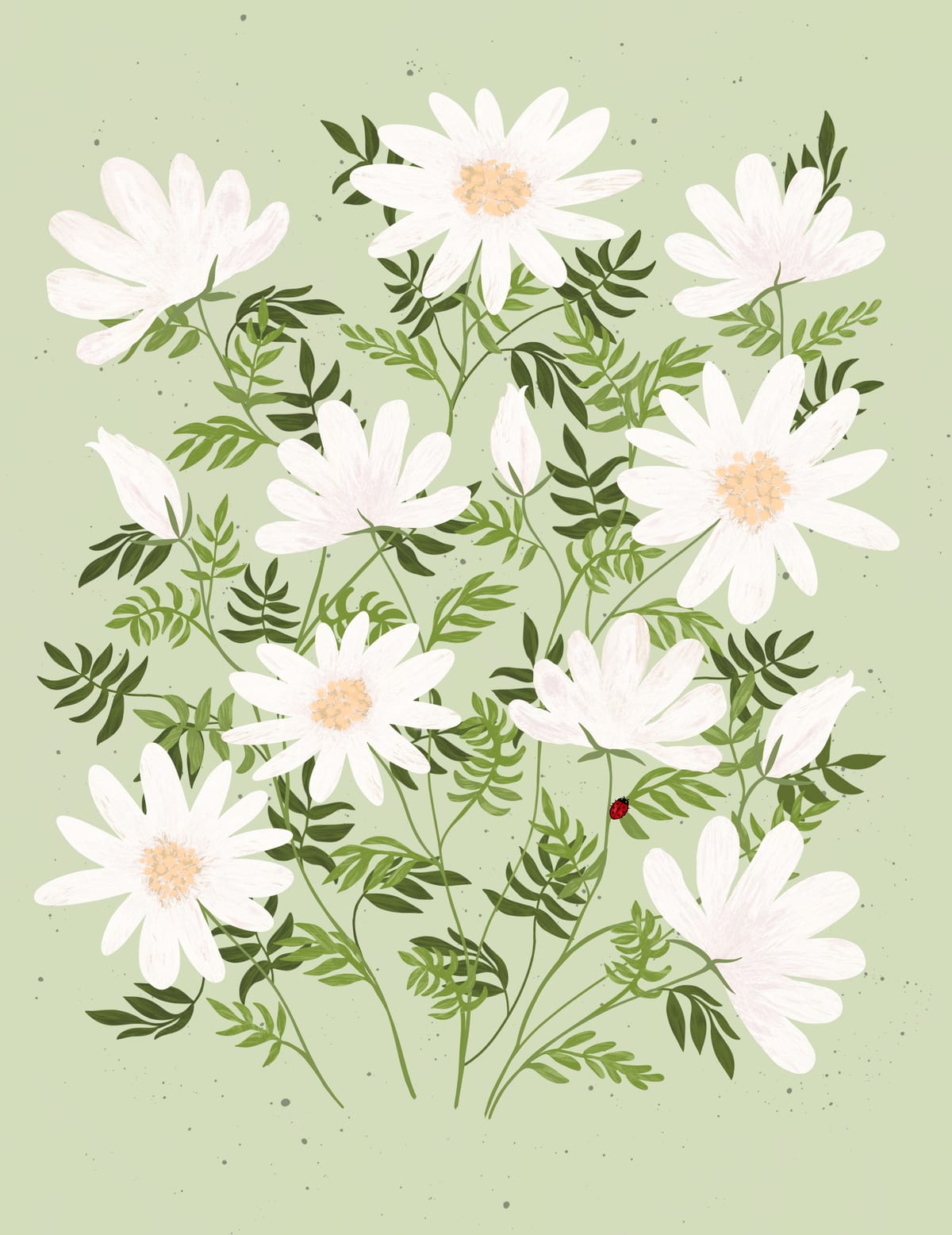 variant-27x35_no-margin