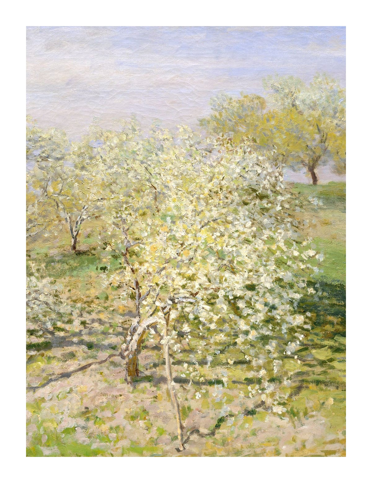 variant-27x35_with-margin