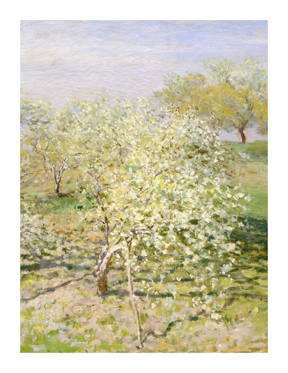variant-27x35_with-margin
