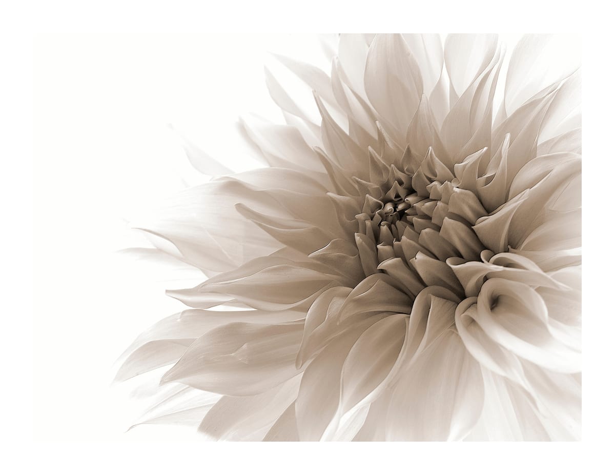 variant-27x35_with-margin