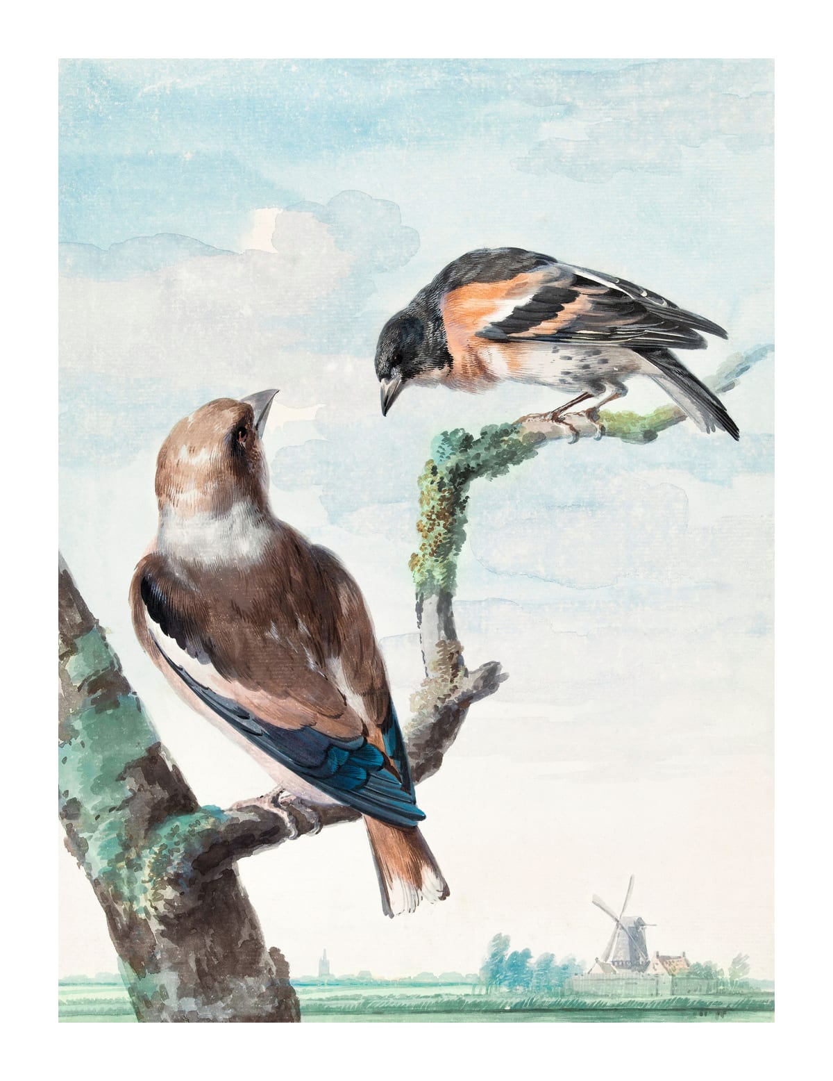 variant-27x35_with-margin
