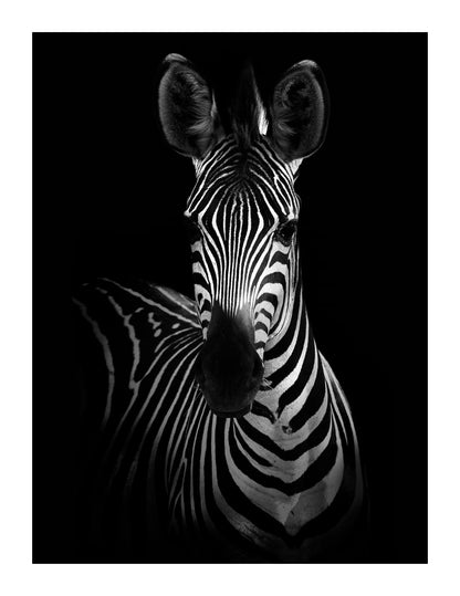 variant-27x35_with-margin