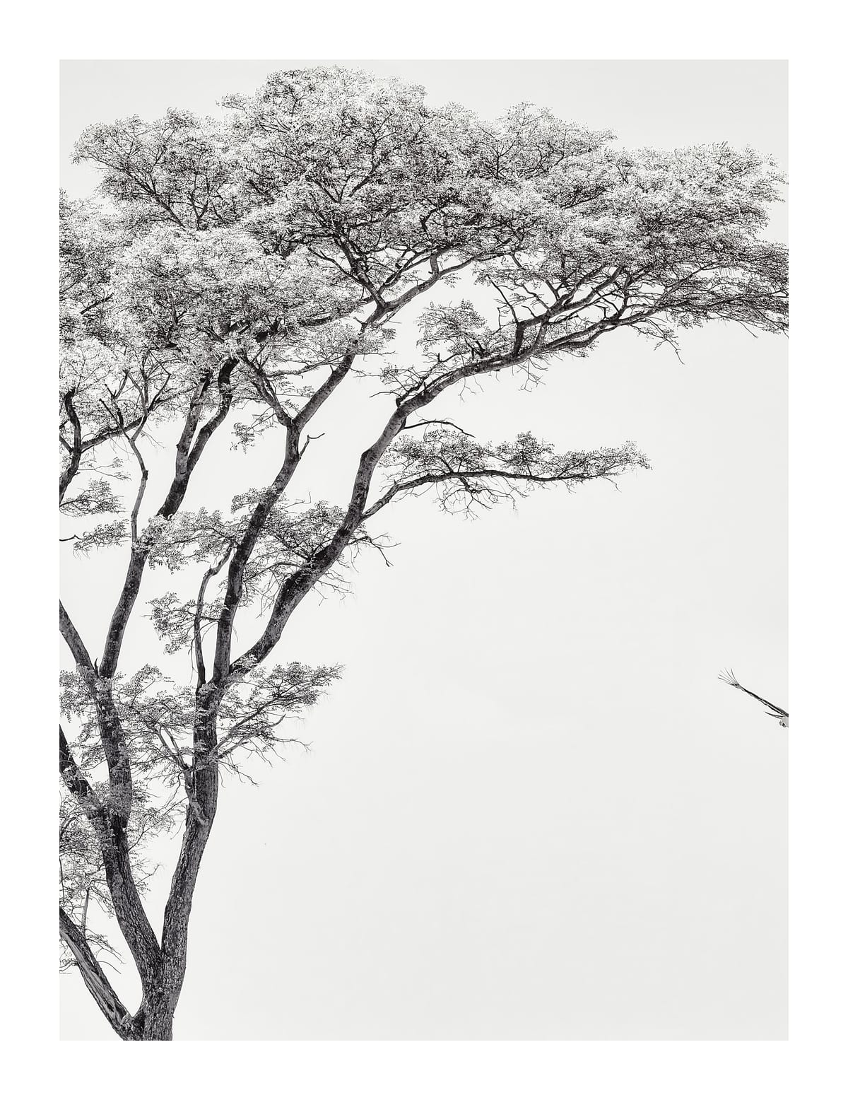 variant-27x35_with-margin