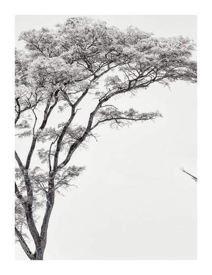 variant-27x35_with-margin