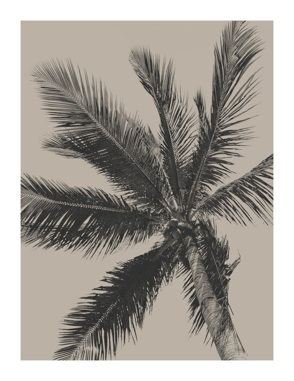 variant-27x35_with-margin