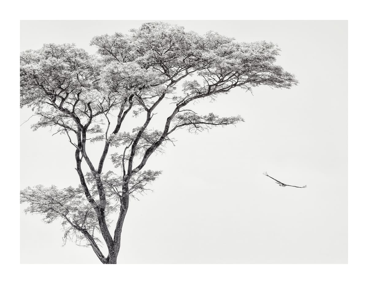 variant-27x35_with-margin