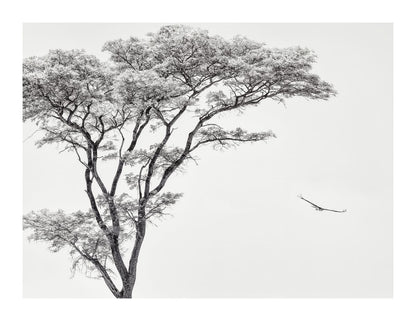 variant-27x35_with-margin