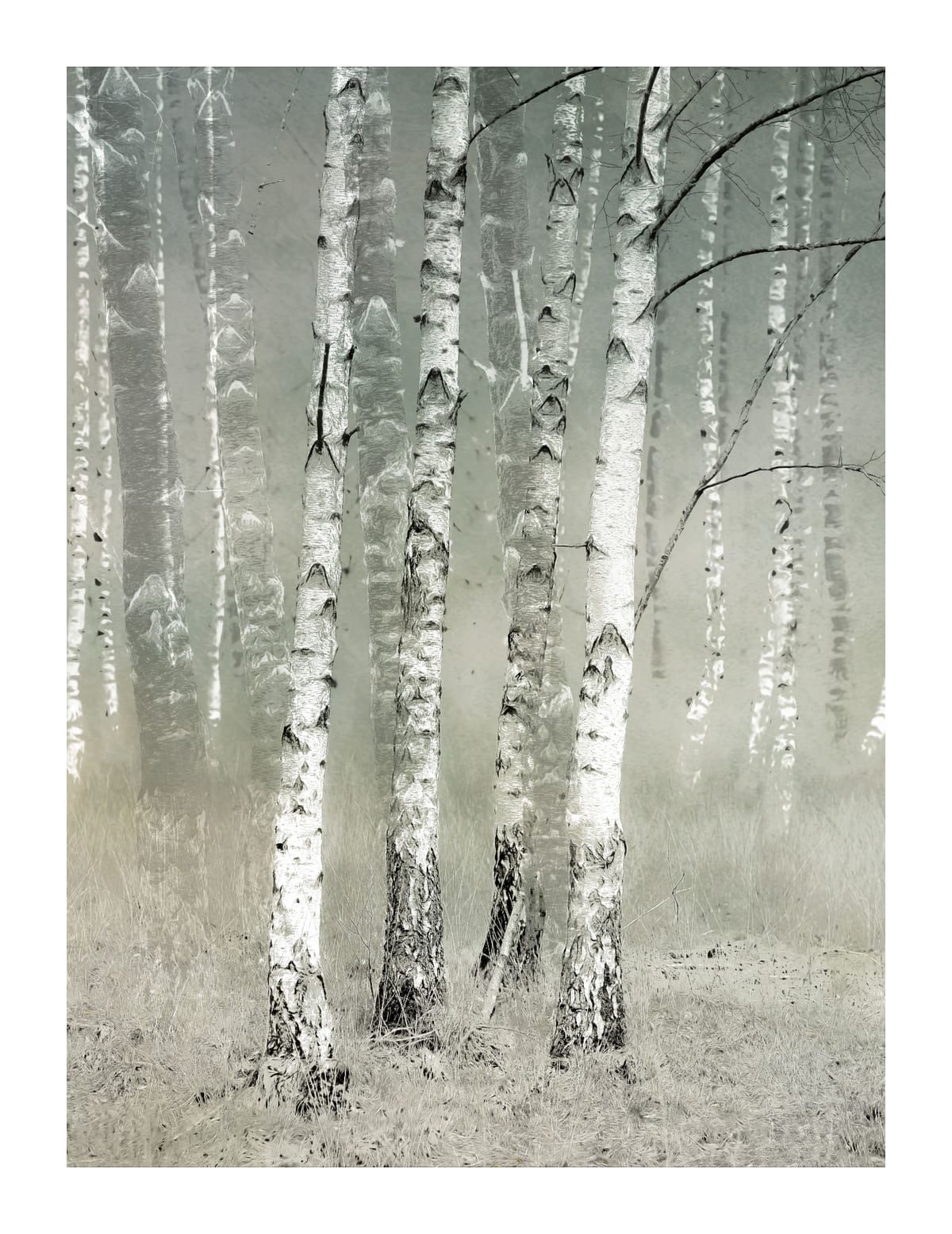 variant-27x35_with-margin