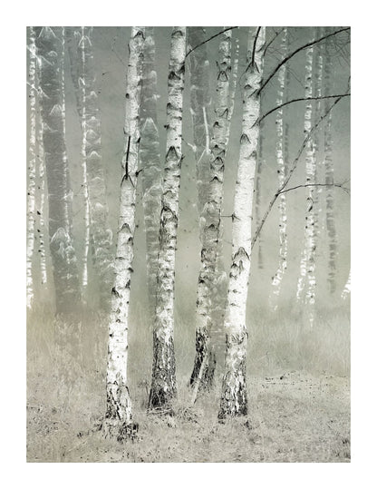 variant-27x35_with-margin