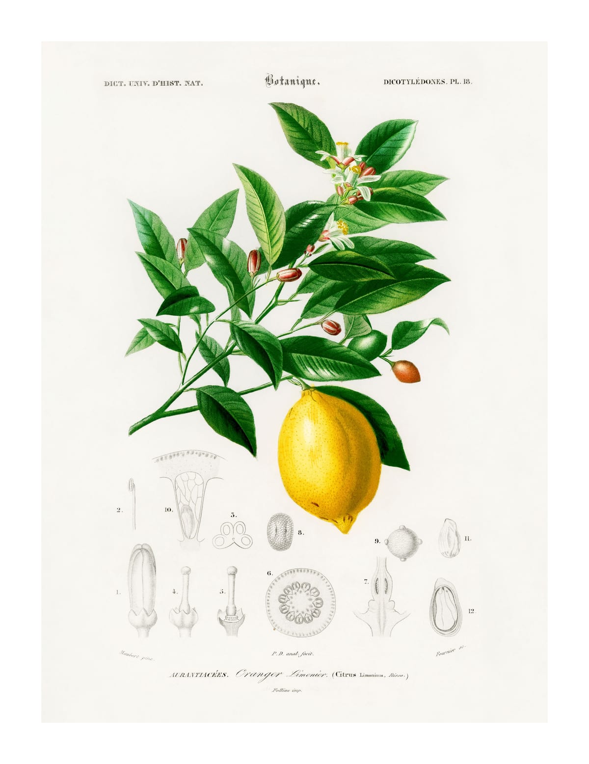 variant-27x35_with-margin