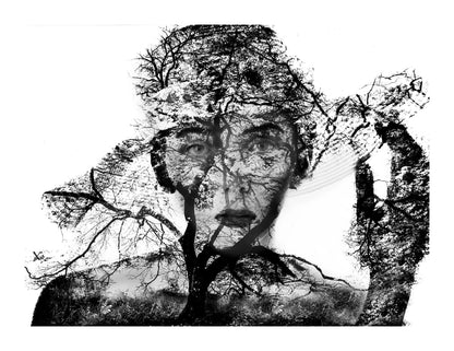 variant-27x35_with-margin