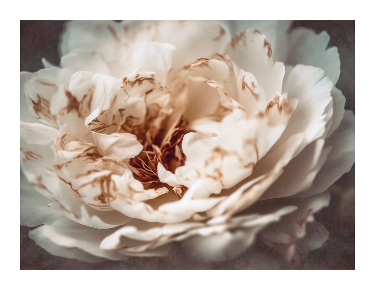 variant-27x35_with-margin