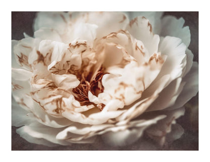 variant-27x35_with-margin