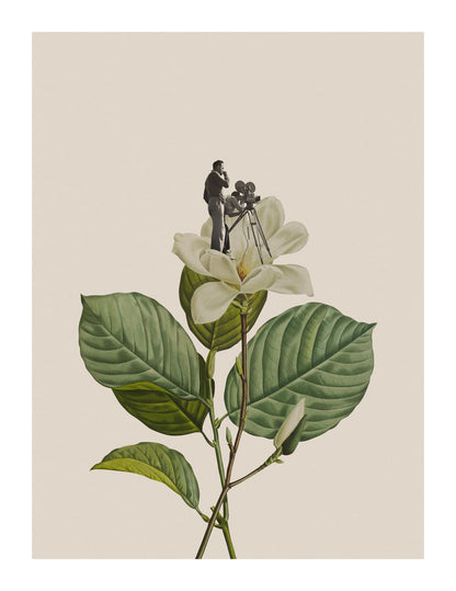 variant-27x35_with-margin