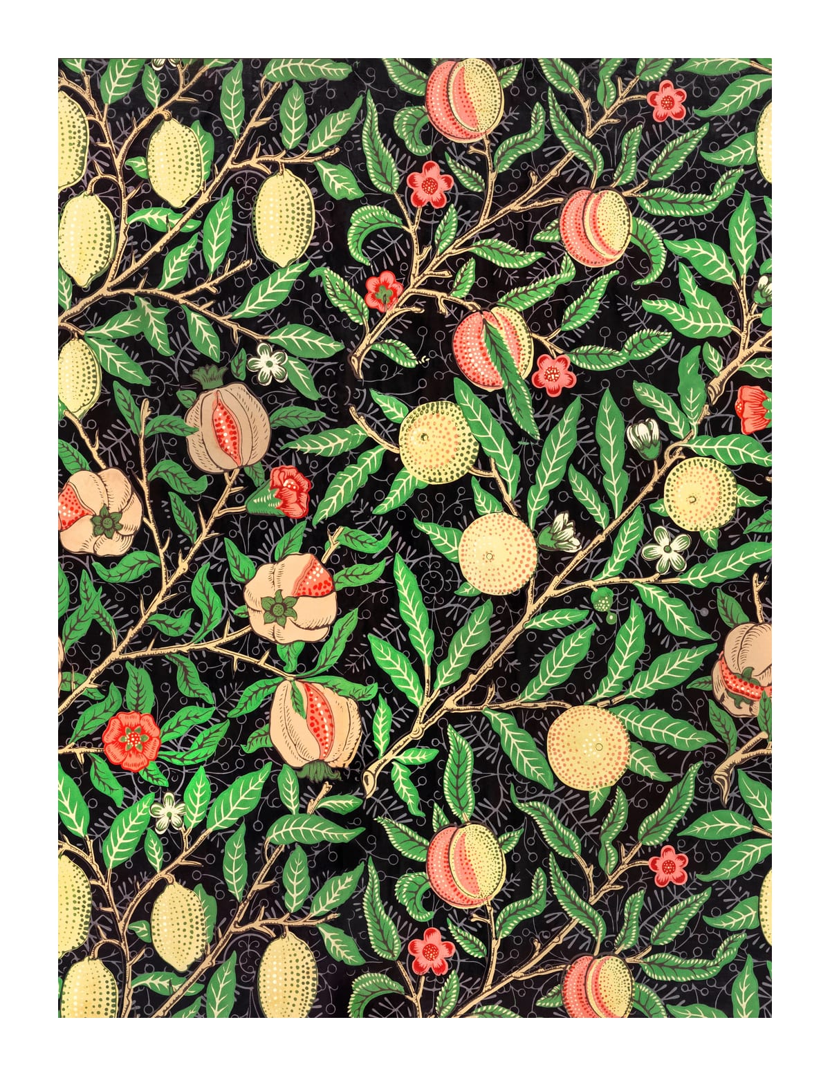 variant-27x35_with-margin