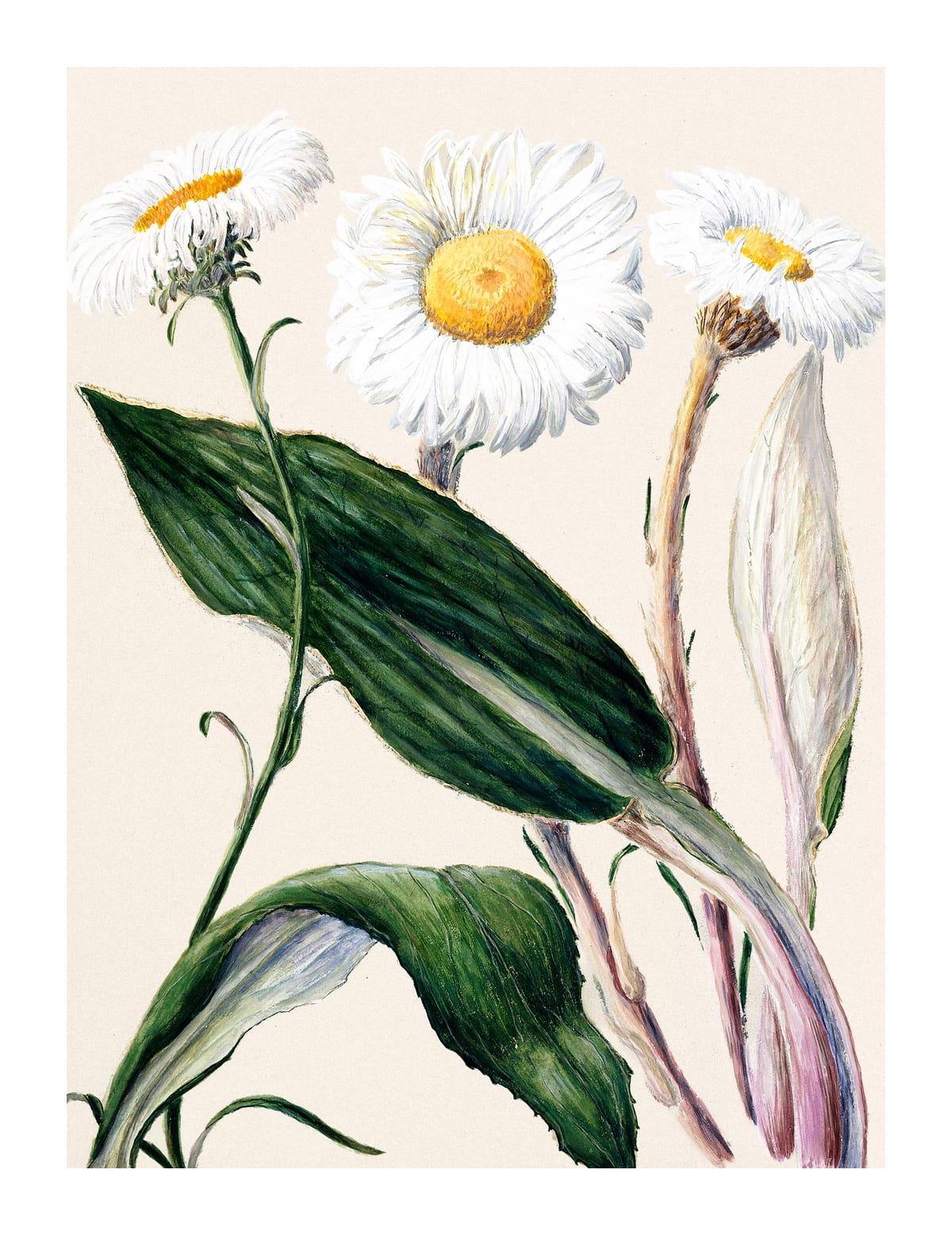 variant-27x35_with-margin