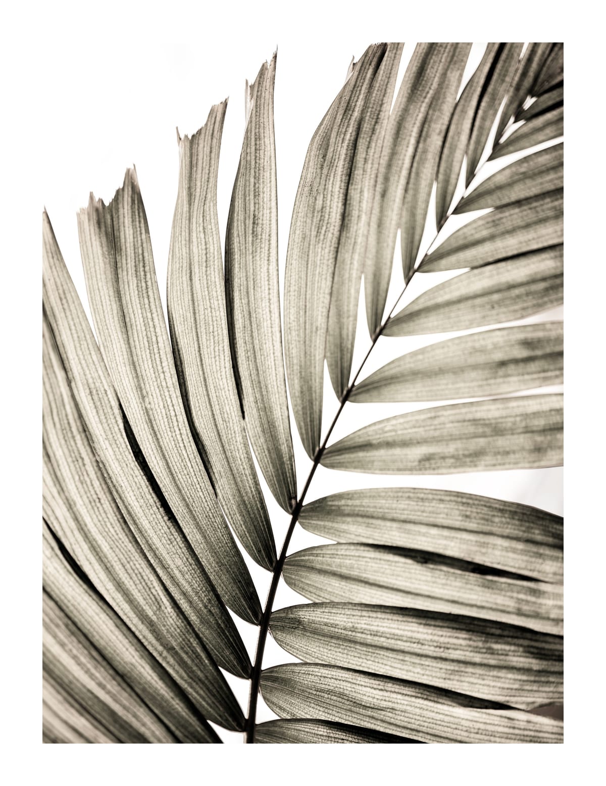 variant-27x35_with-margin
