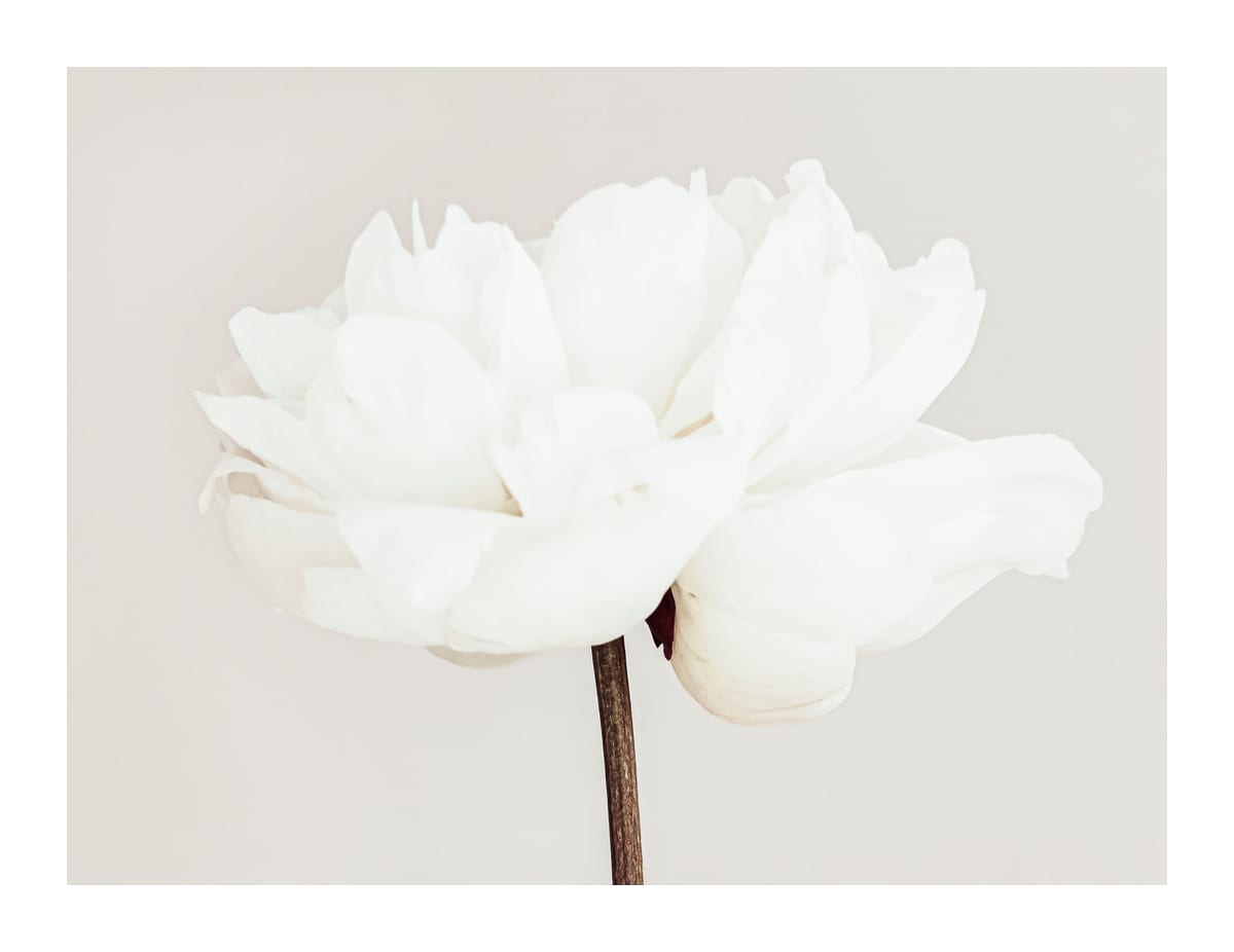 variant-27x35_with-margin