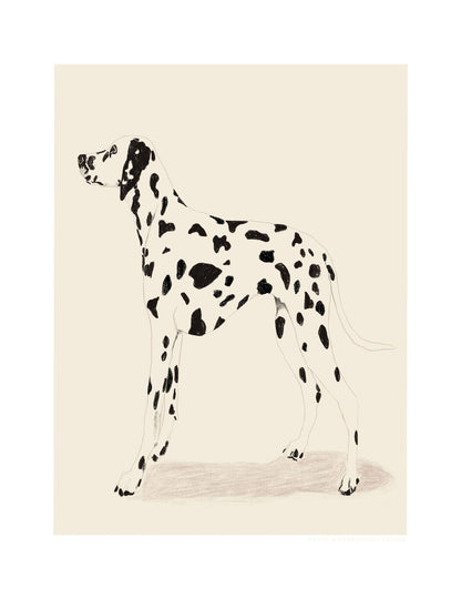 variant-27x35_with-margin