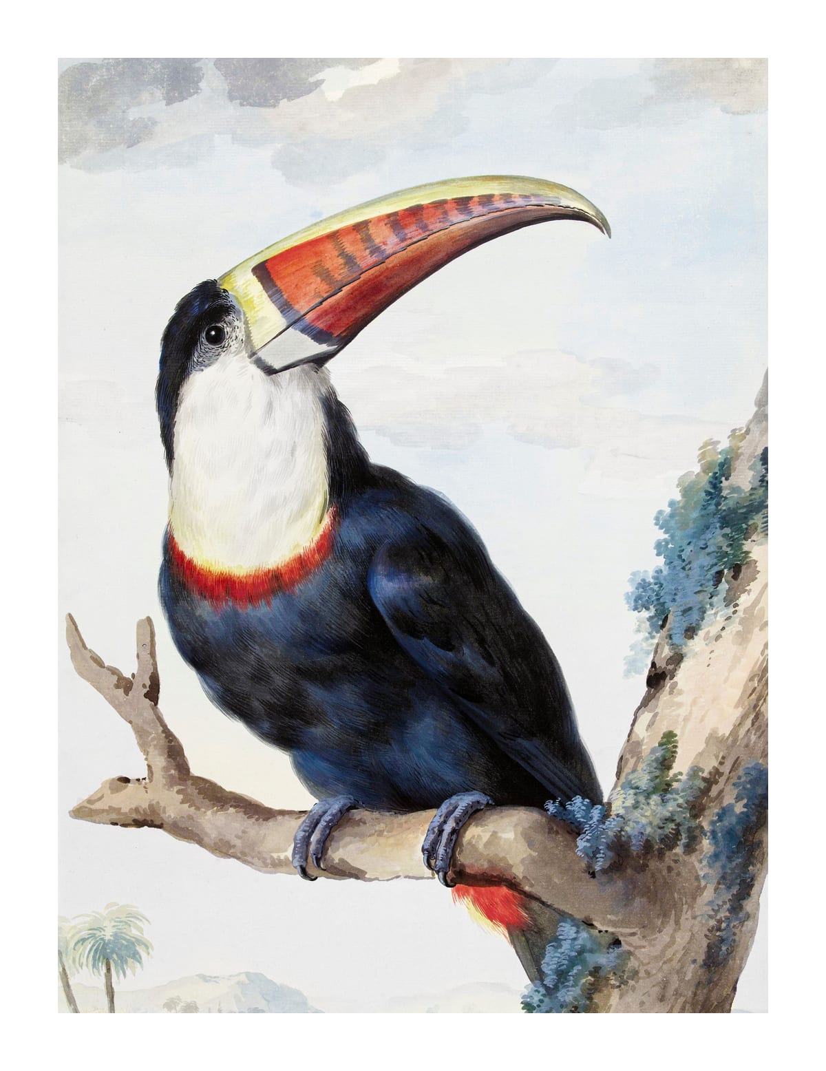 variant-27x35_with-margin