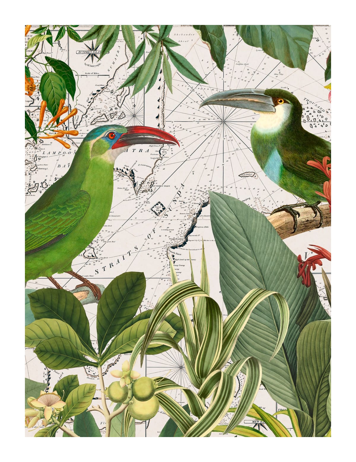 variant-27x35_with-margin
