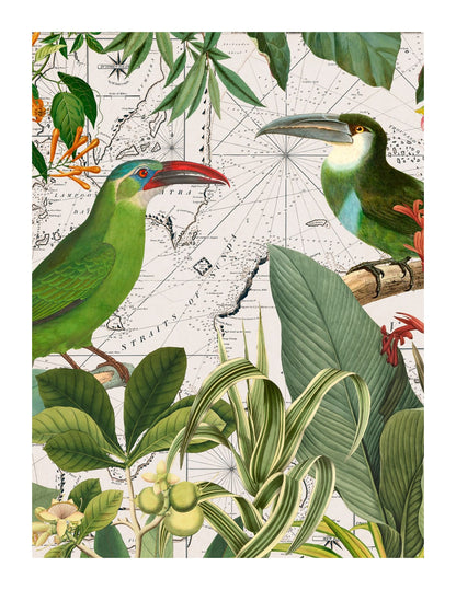 variant-27x35_with-margin