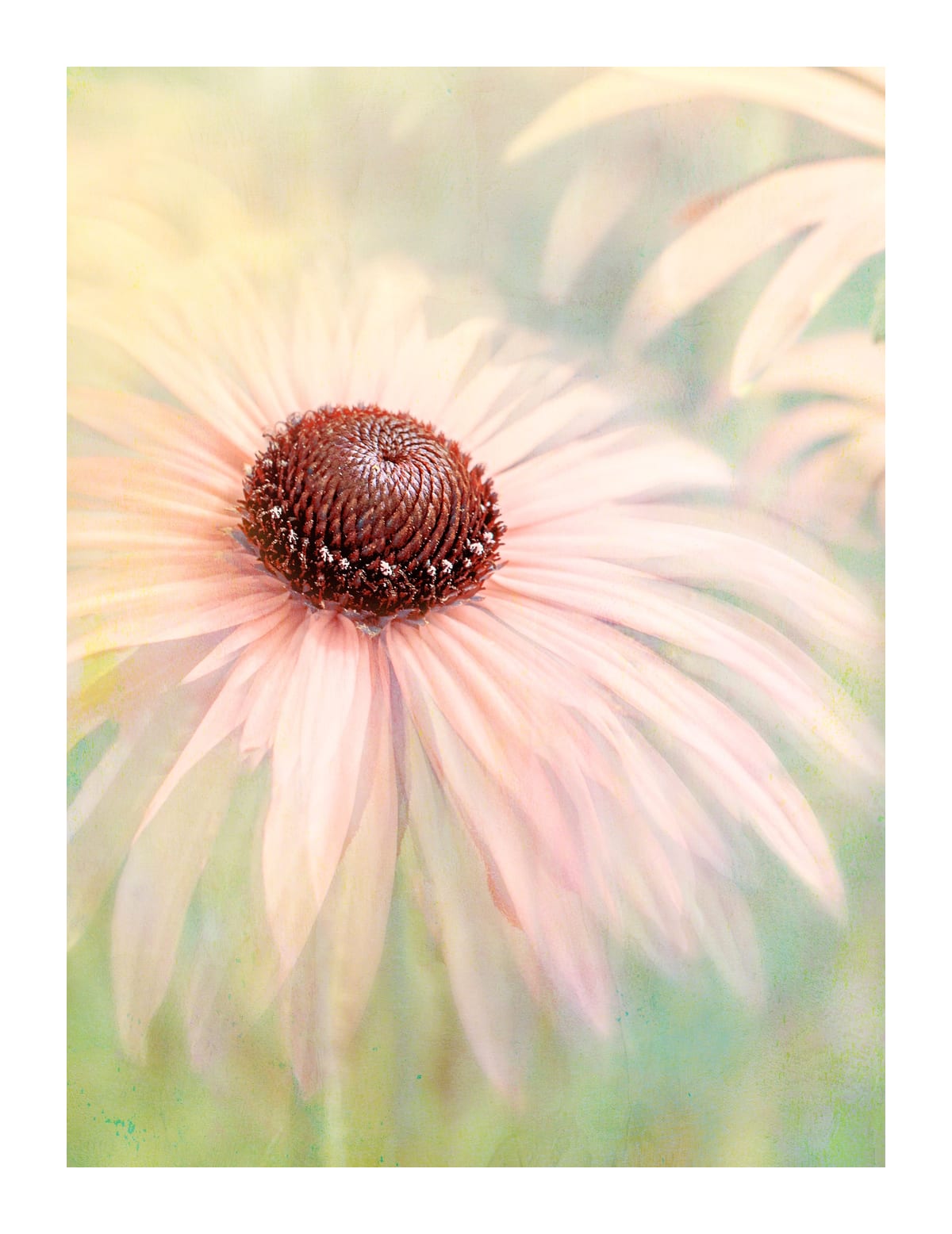 variant-27x35_with-margin