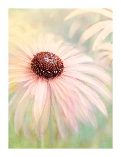 variant-27x35_with-margin