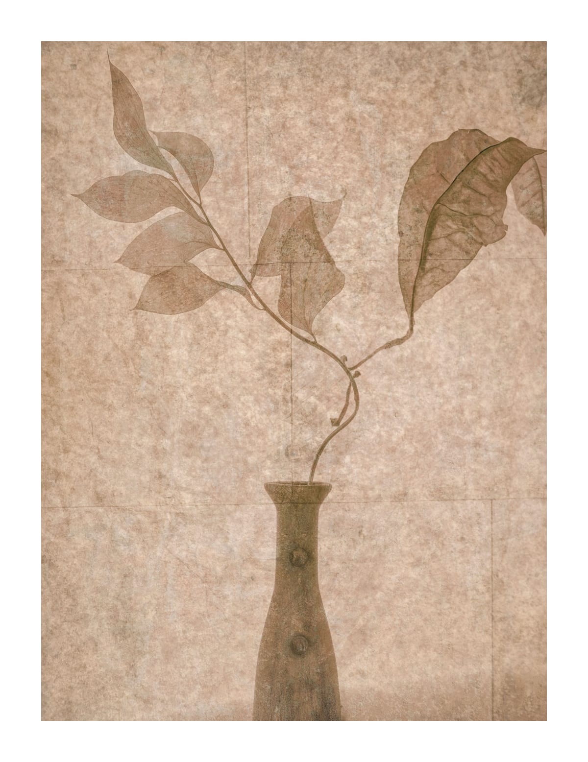 variant-27x35_with-margin