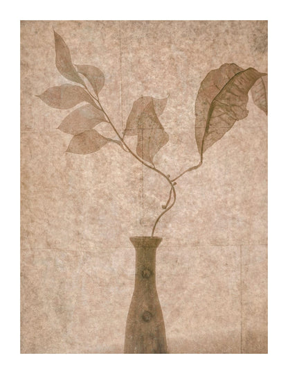 variant-27x35_with-margin